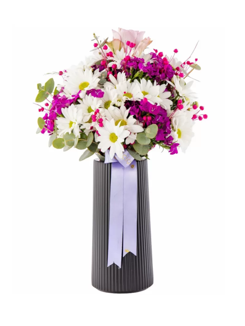 Purple Daisy Harmony