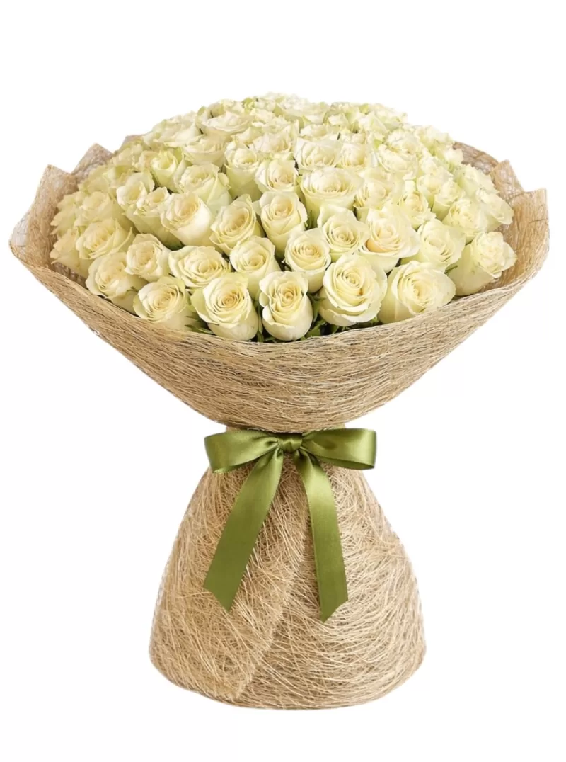 Pure White 71 Roses 