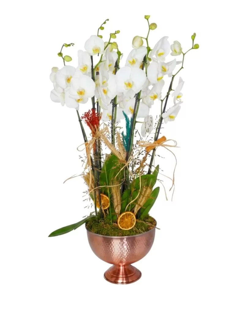 White Orchid Palace