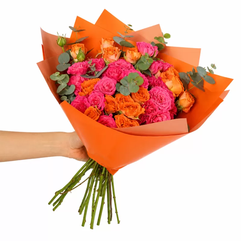 Orange & Pink Harmony